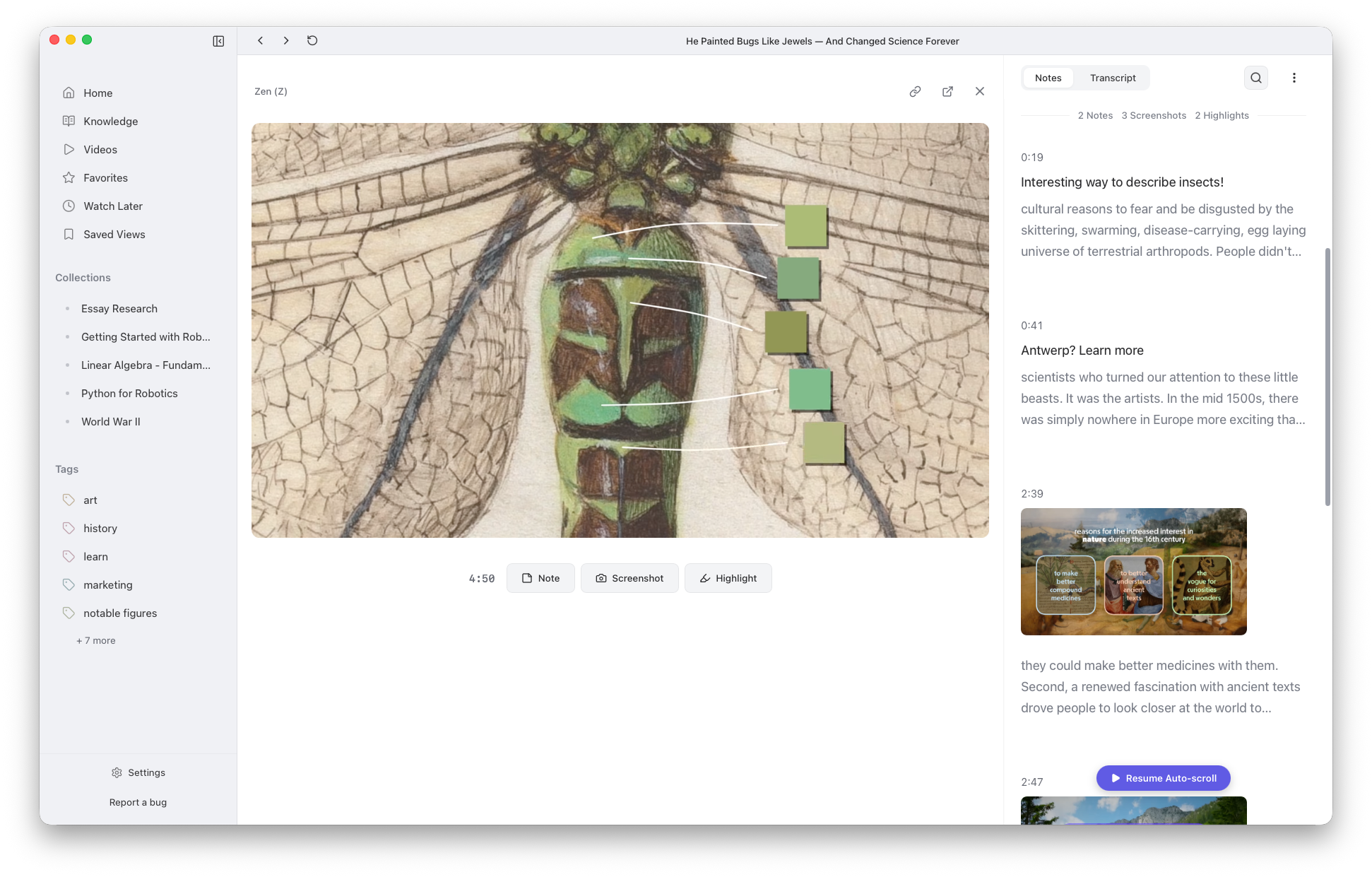 Wikeo desktop app showing a saved video library
